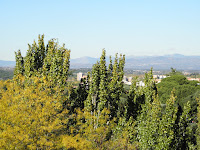 PB040218.JPG