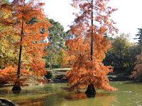 PB050477.JPG