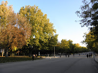 PB050602.JPG