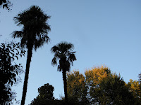 PB050685.JPG