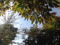 PB060808.JPG