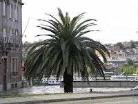 PB071252.JPG
