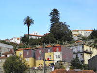 PB071291.JPG