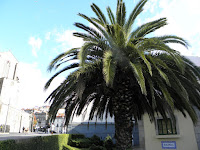 PB071347.JPG