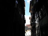 PB071356.JPG