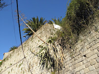 PB070311.JPG