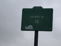 DSCN1520.JPG