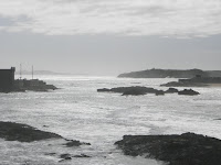 P2140917.JPG