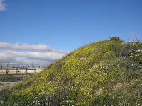 P2221245.JPG