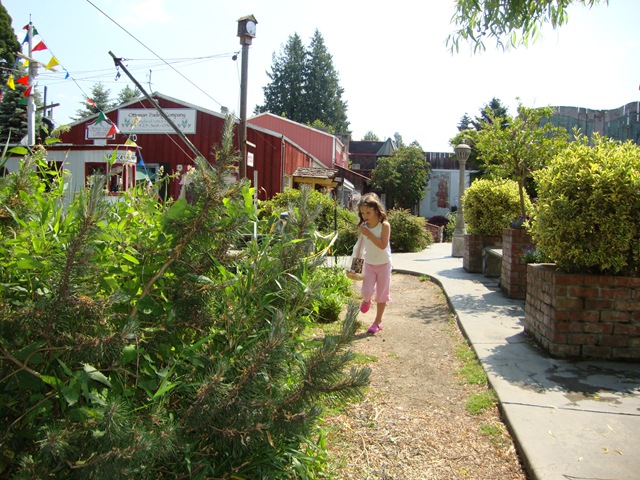 [DSC00597[4].jpg]