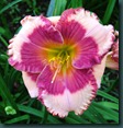 DSCF6324 DSCF6324