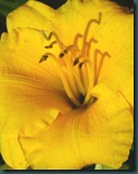 DSCF6545 DSCF6545