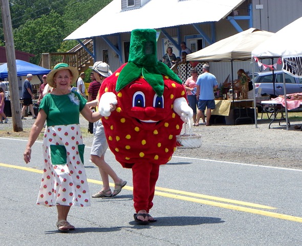 [strawberry costume (2)[11].jpg]