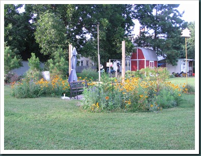 wildflower gdn wildflower gdn