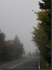DSCN3088 DSCN3088