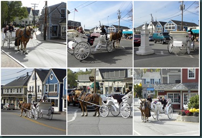 carriage ride collage