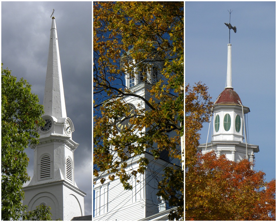 [steeple-tree collage[3].jpg]