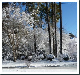 snow scene020710 snow scene020710