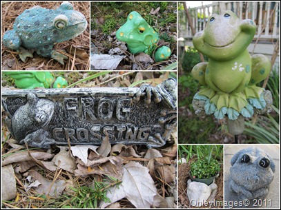 garden frog collage0511 garden frog collage0511