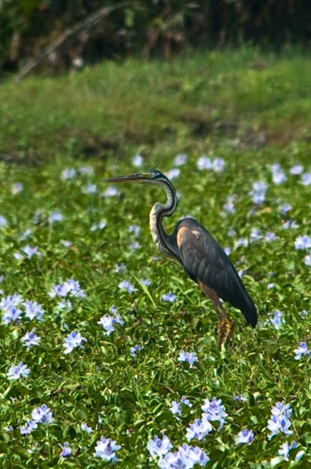 _DSC0560 _DSC0560