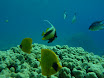 P1030549.JPG