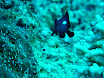 P1030569.JPG