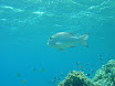 P1030650.JPG