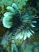 P1030816.JPG