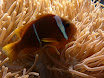 P1040004.JPG