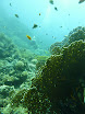 P1040059.JPG