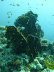 P1040063.JPG