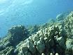 P1040124.JPG