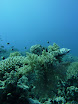 P1040167.JPG