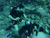 P1040201.JPG
