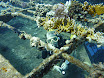 P1040348.JPG