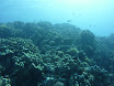 P1040415.JPG
