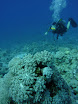 P1040425.JPG