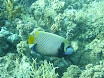 P1040446.JPG