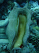 P1040436.JPG