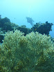 P1040440.JPG