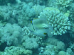 P1040443.JPG