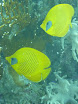P1040451.JPG