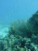 P1040486.JPG