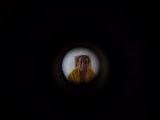 Io visto da dietro lo spioncino (Spagna 2007)