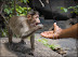 23.03.2008 11-59-48_0387.jpg