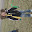 DSC01565.JPG