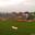 IMAG0140.jpg