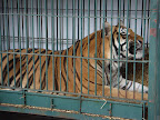 DSC05552.JPG