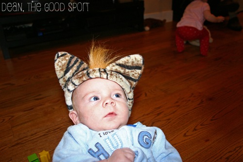 Houston - Dean cat