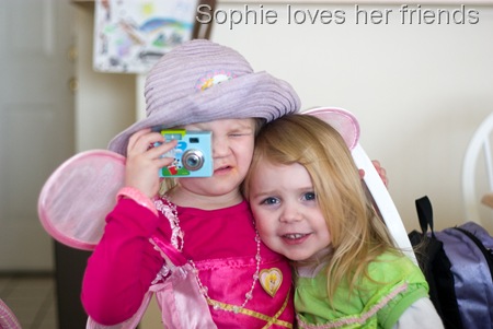 random - friends brin and soph fairies